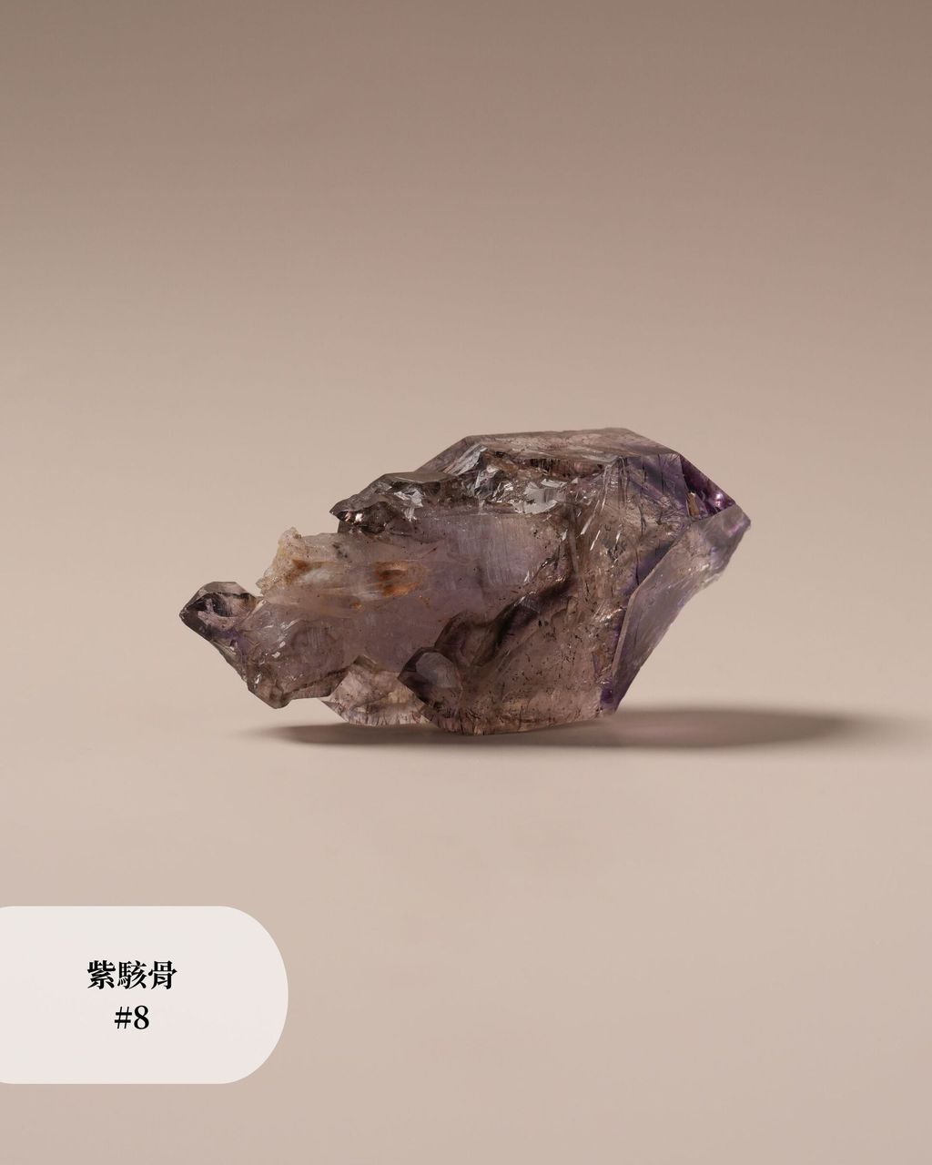 紫駭骨 #8