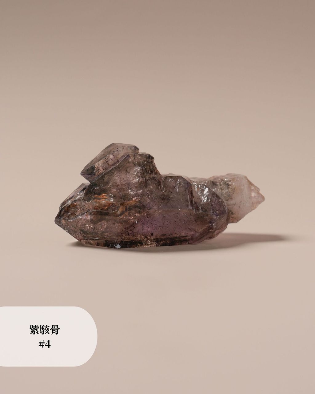 紫駭骨 #4