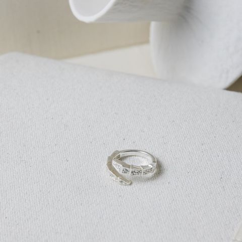 photo-output_0-1733321306481