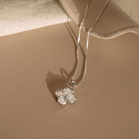 image_ABB83F0F-6B8A-486F-8524-BD1DF1285955_1766413382