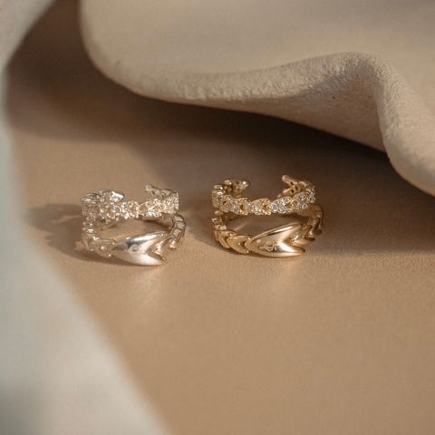 image_099CA547-60D1-4E50-B1C9-0B08BF319489_1766474292