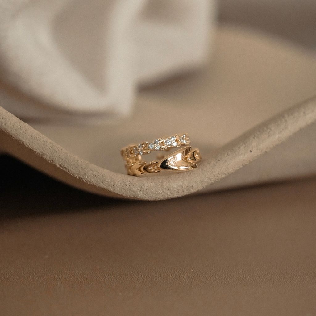 image_658549EA-C1C5-489D-A431-93AC210B8759_1766474382