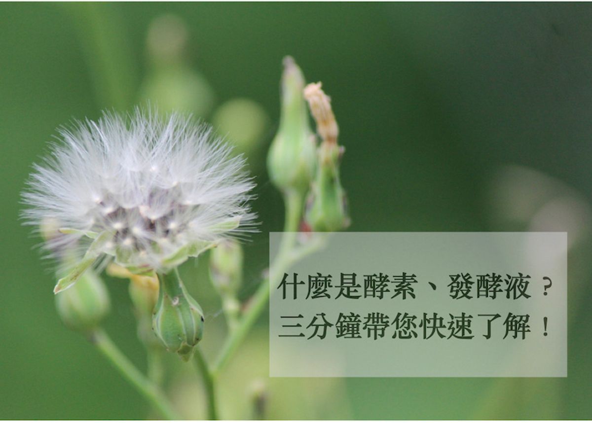 什麼是酵素、發酵液,三分鐘帶您快速了解!