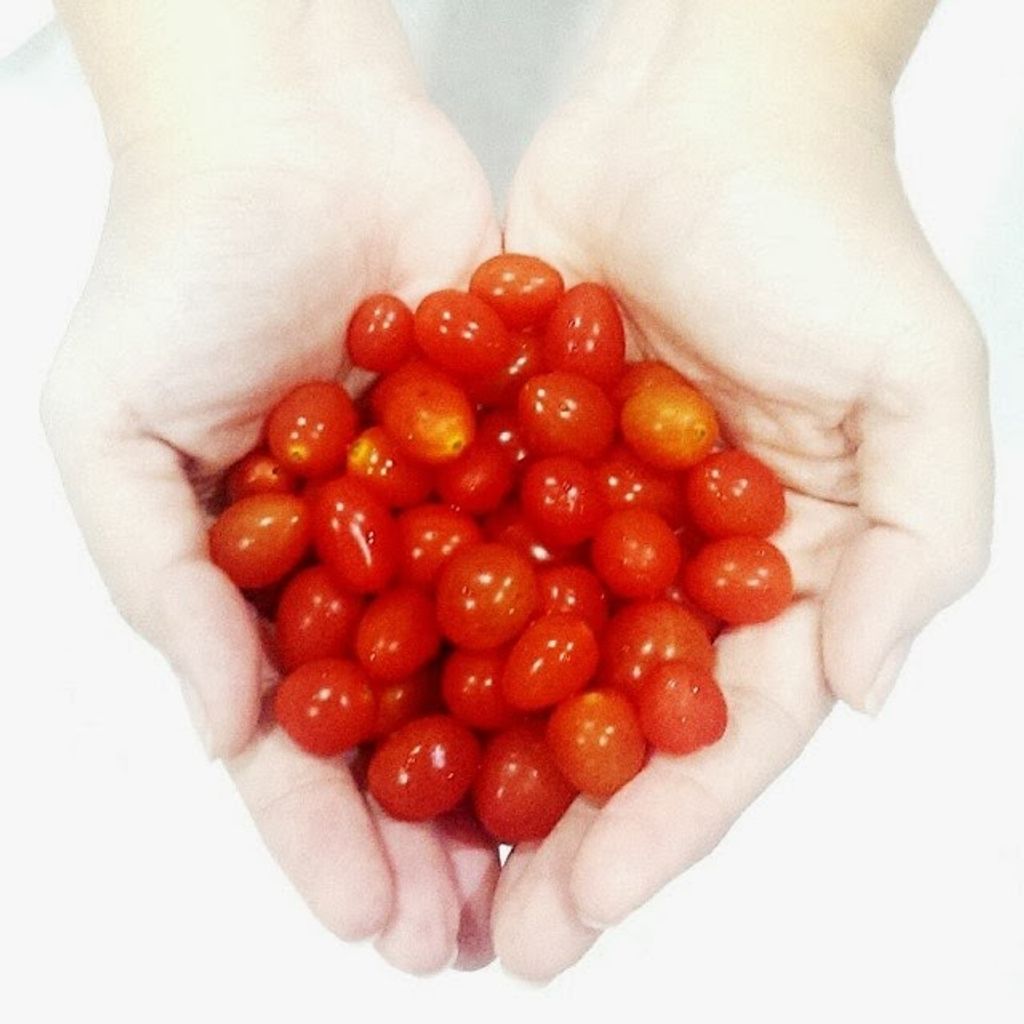 Have you ever seen such tiny cherry tomatoes?