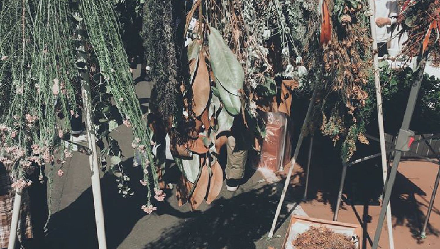 白露艸艸 しらつゆそうそう | 日本線上選物店＠Taiwan | 