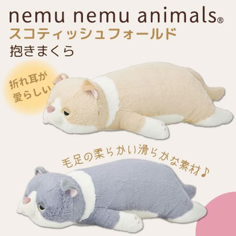 000000000916_uo6m8bZ