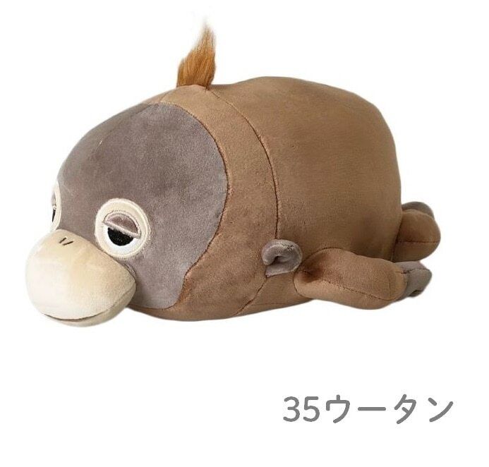 10_000000000655