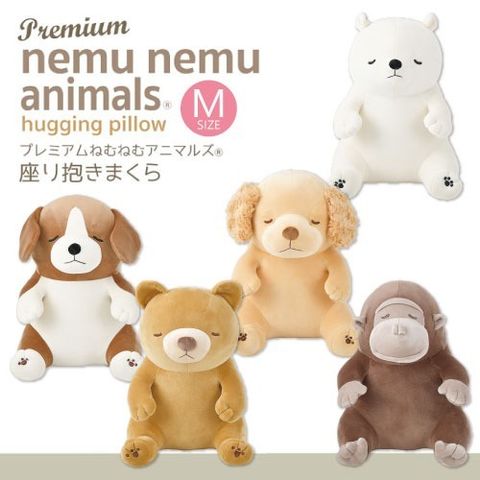 imgi_11_2_000000001171