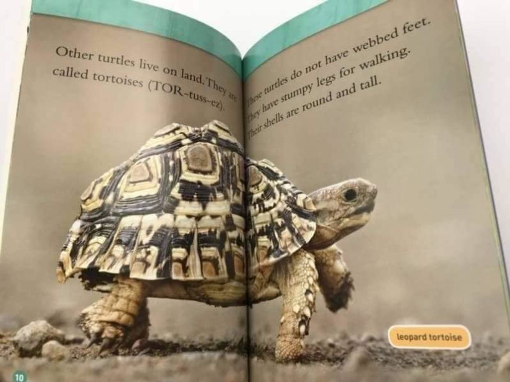 National Geographic Kids level1 25冊 National Geographic Nonfiction Readers - Level 1 at