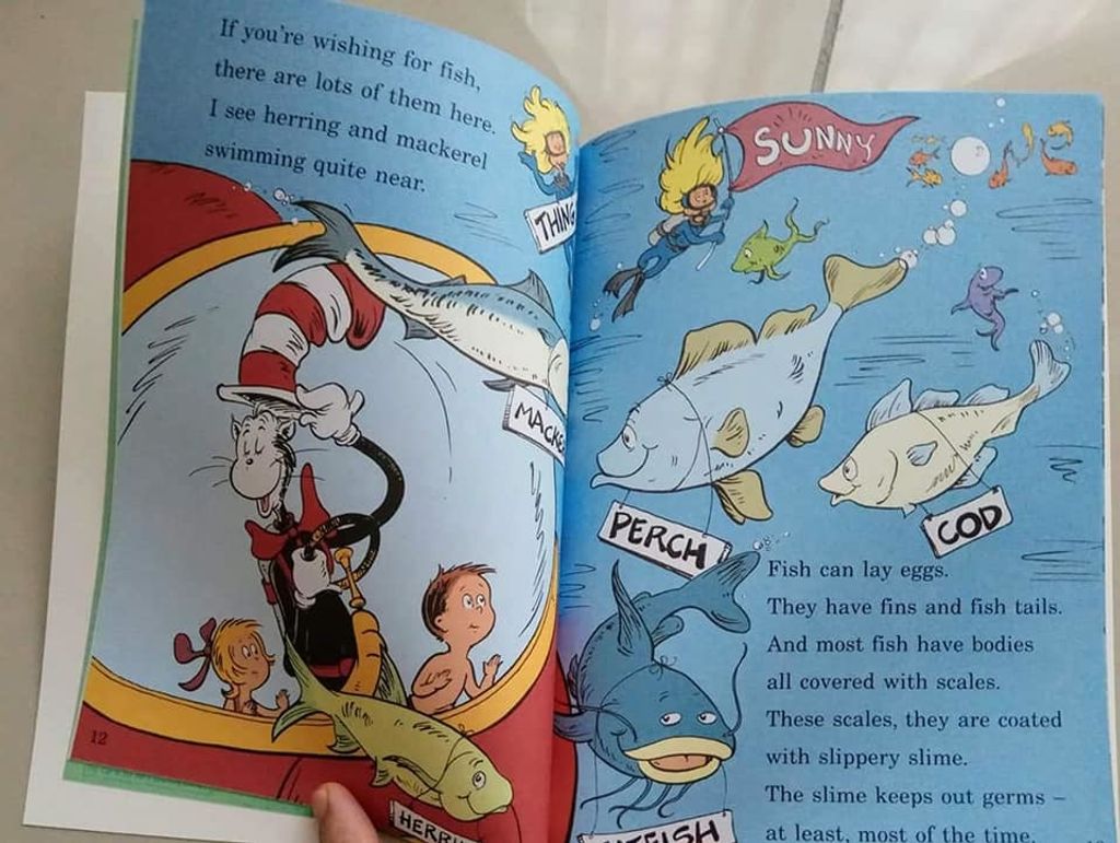 Complete set of Dr. Seuss learning Series. 33 books – LITTLE BOOK LOUNGE