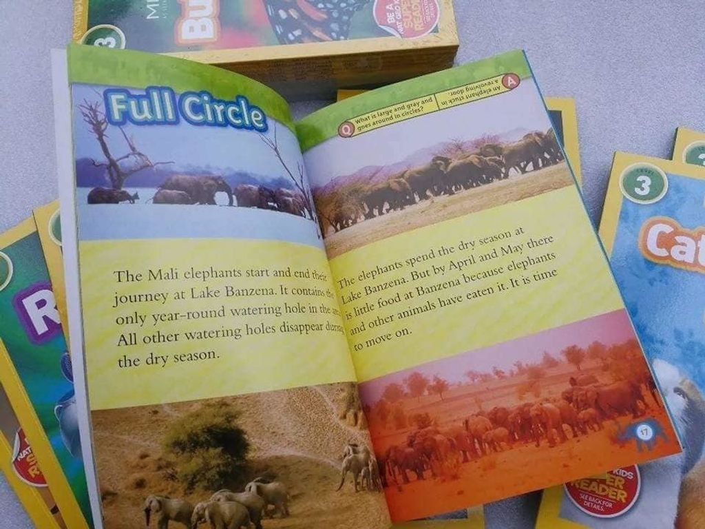 National Geographic Kids Readers: Level 3 (22 books) – LITTLE BOOK LOUNGE National Geographic Kids Readers: Level 3 (22 books) – LITTLE BOOK LOUNGE