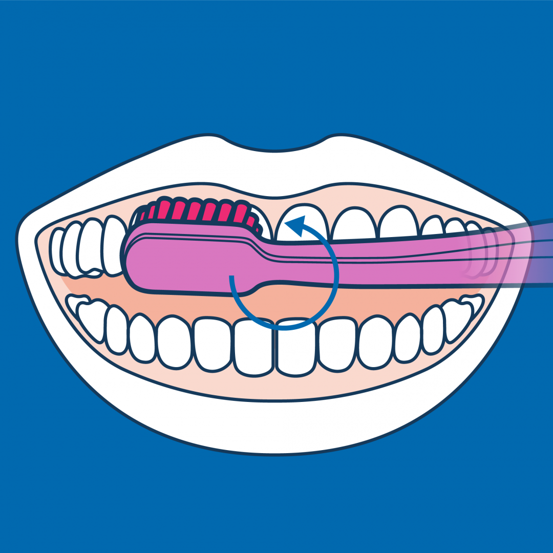 proper-toothbrushing_5_circles-ig-picture-sq.png