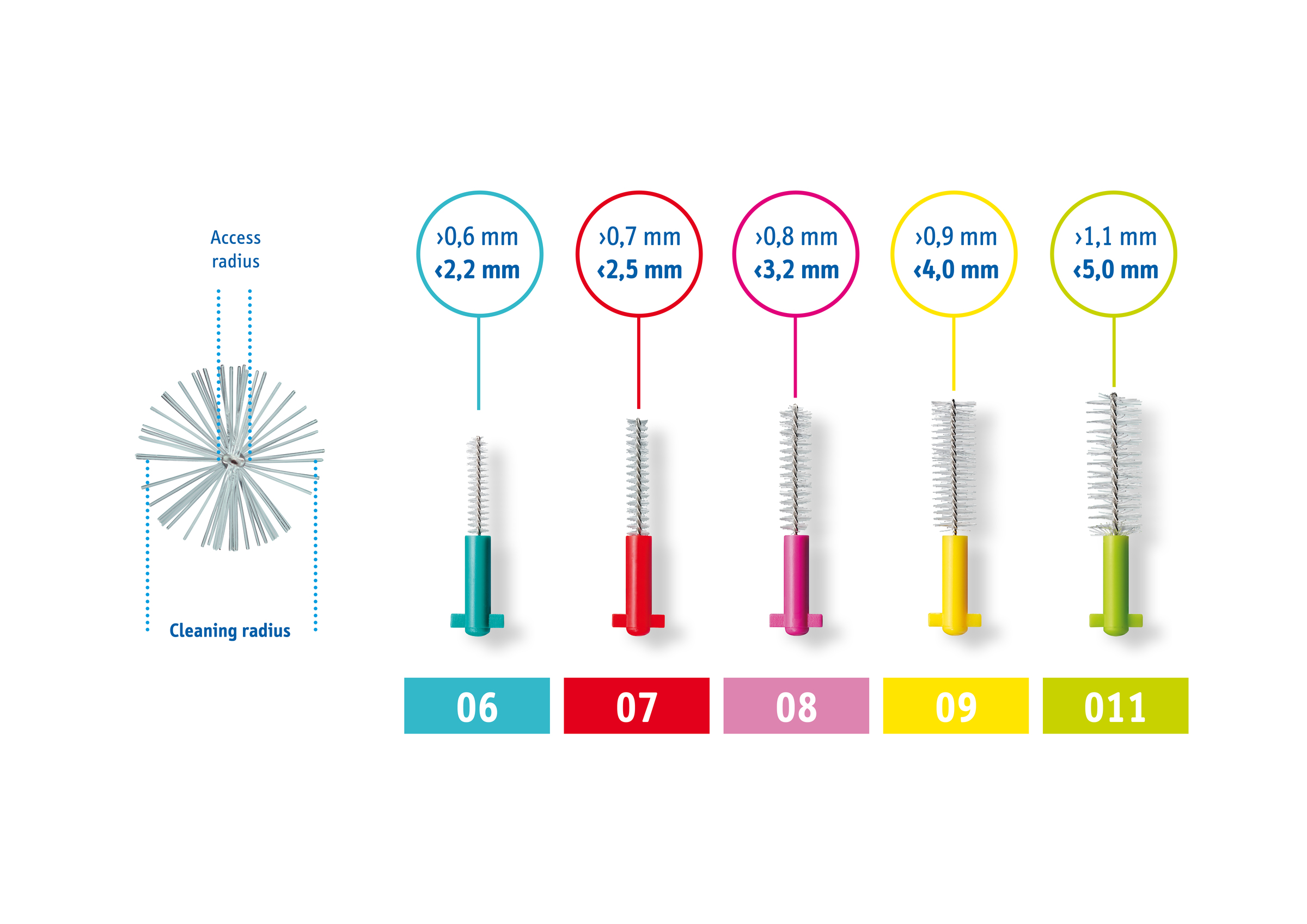 cps_prime-scale-en.jpg