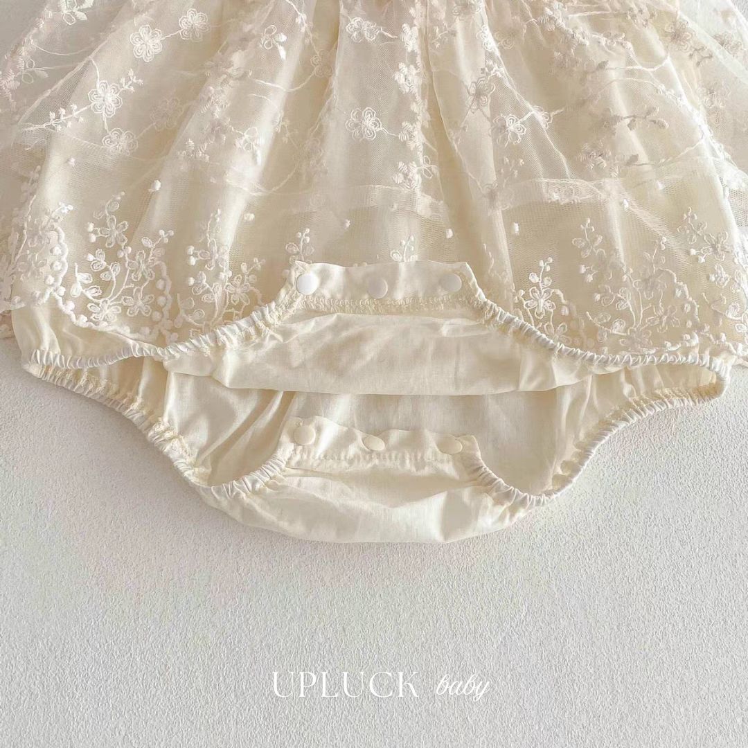 6_20260313_070017_0005