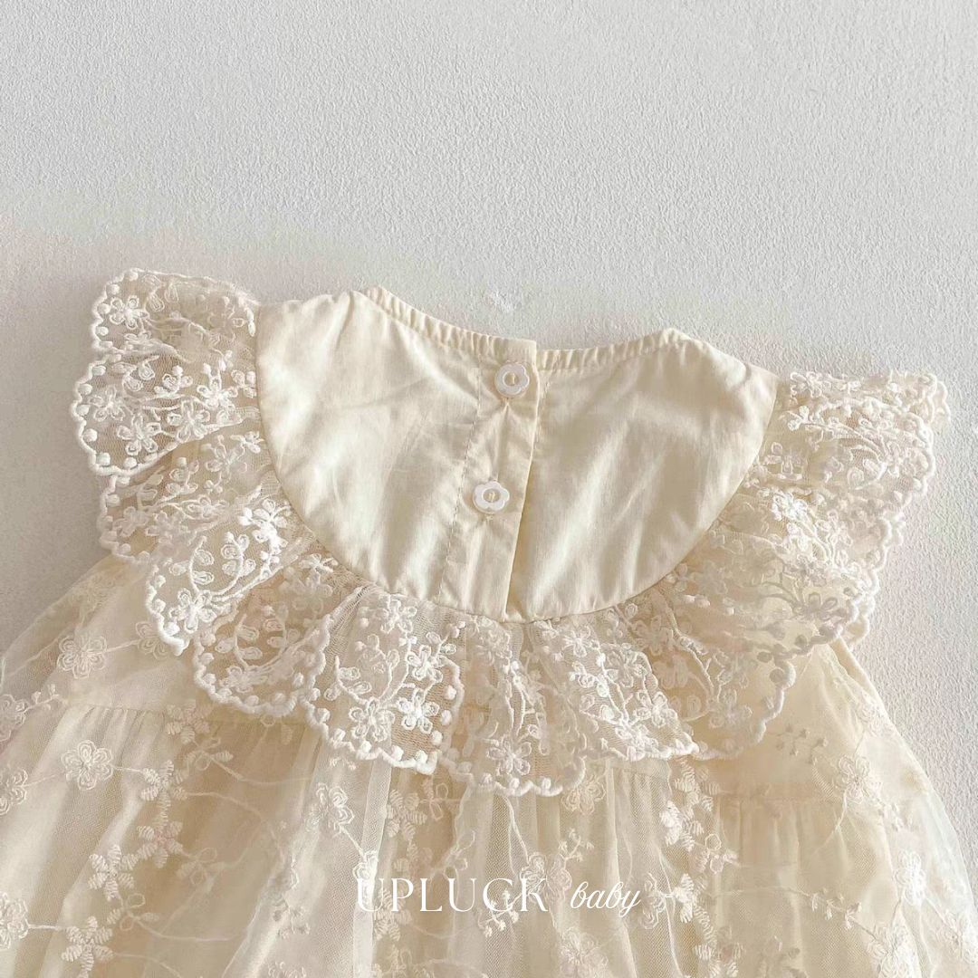 7_20260313_070017_0006