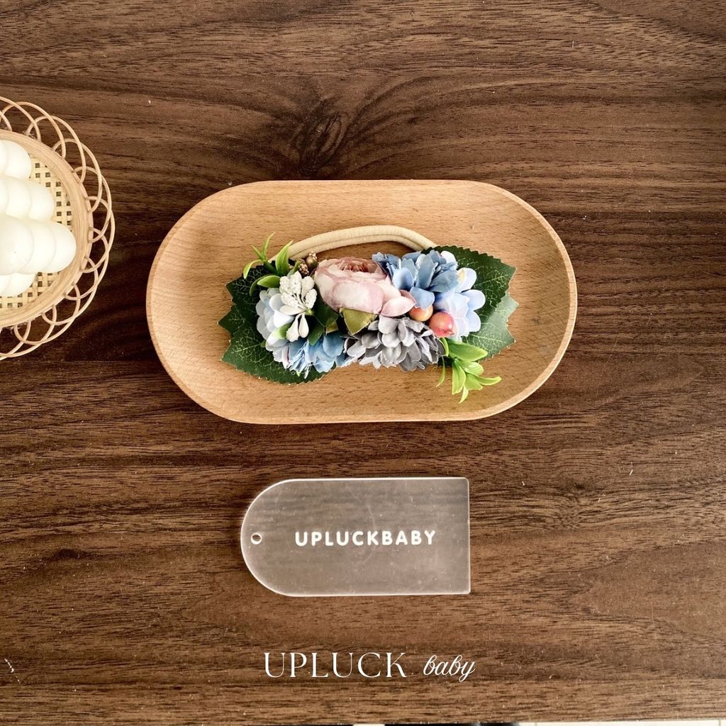 U P L U C K - 1