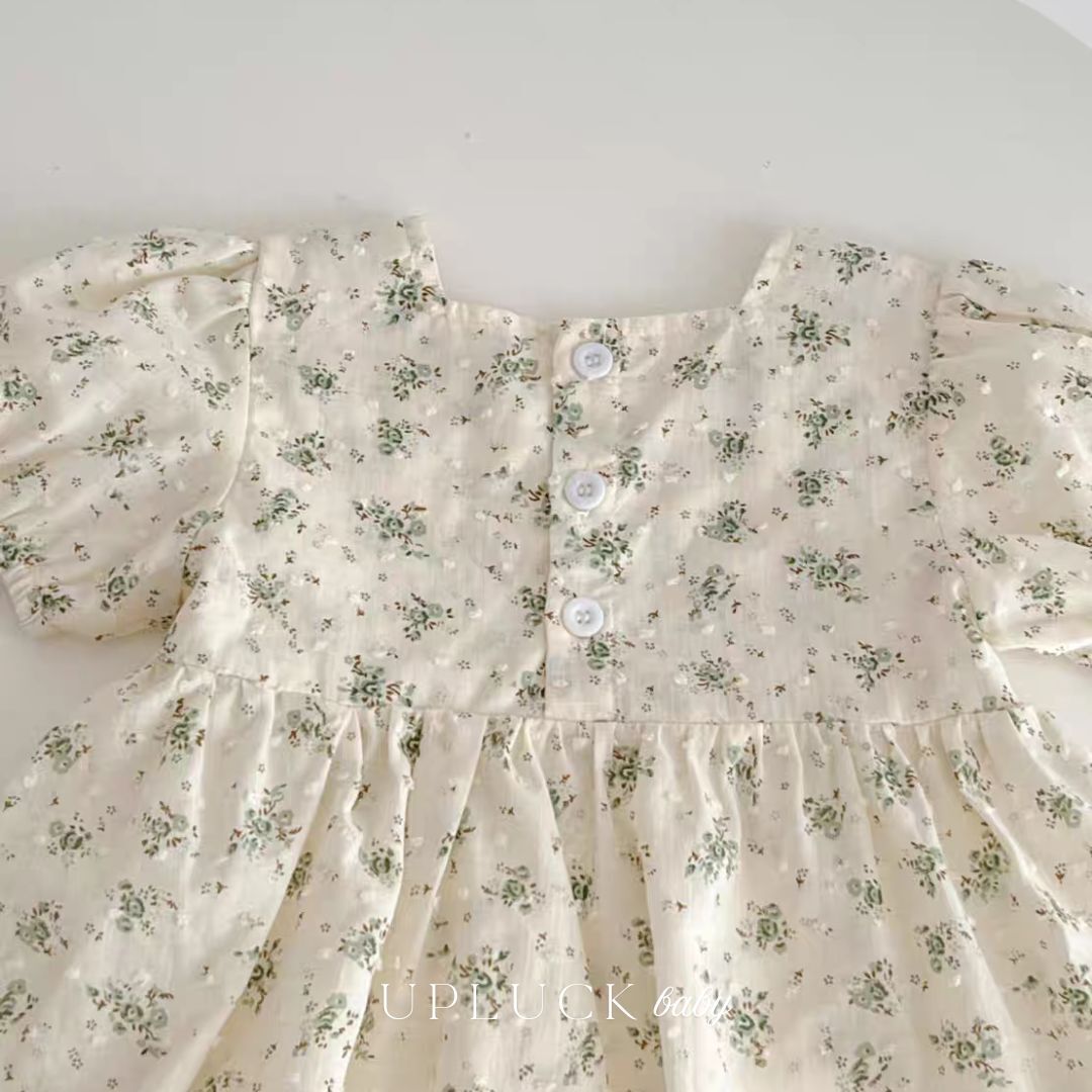 1_20251105_223054_0000