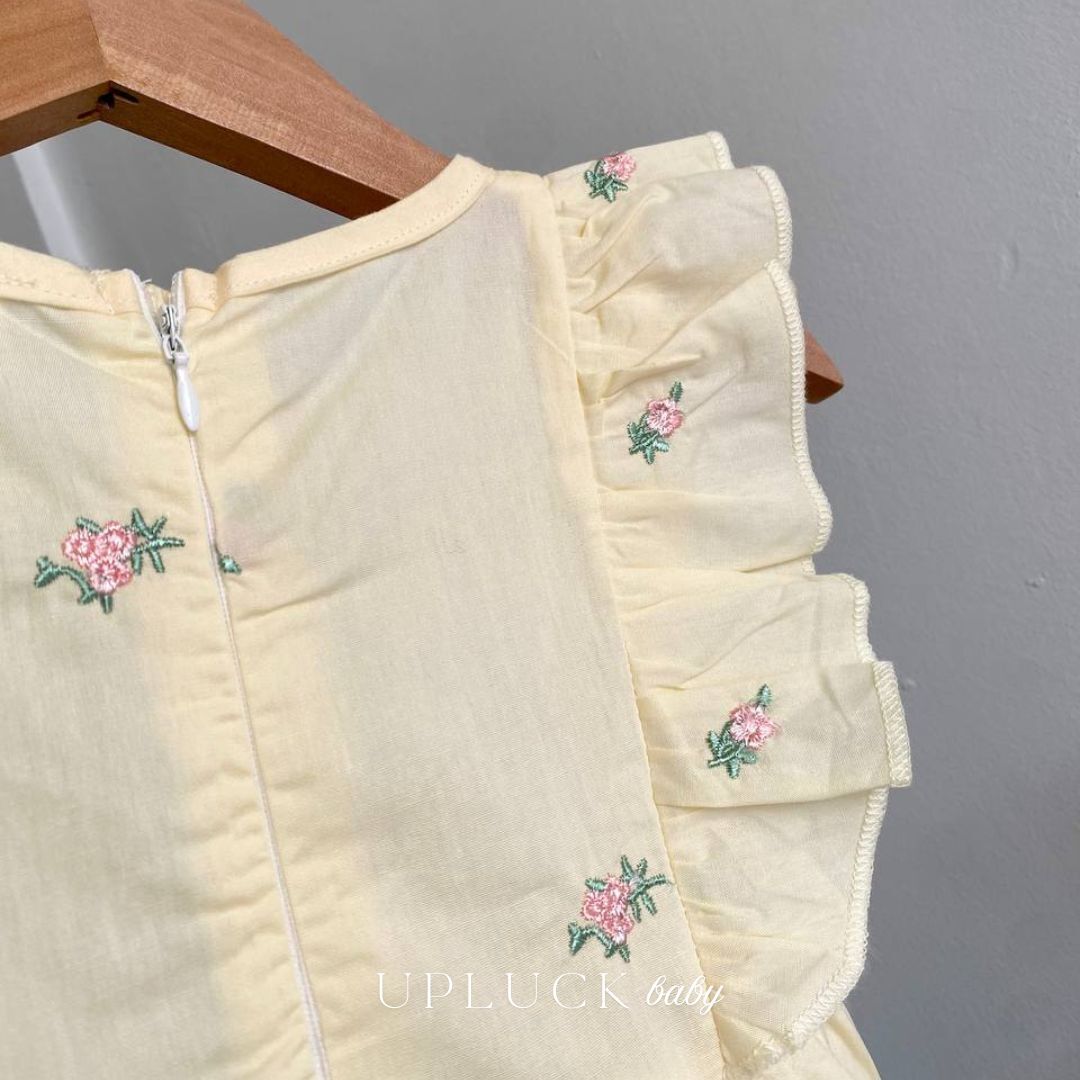 2_20251105_223615_0001