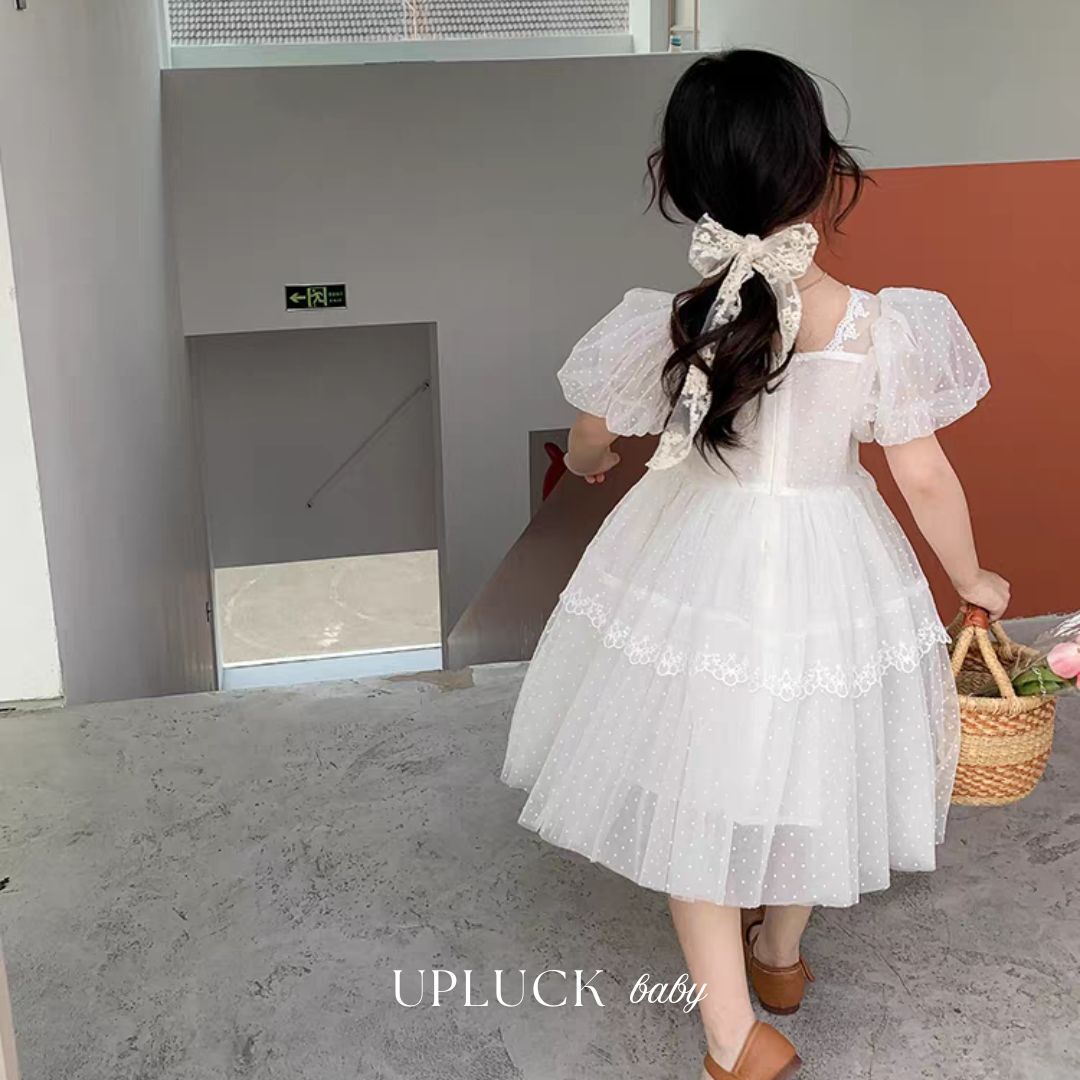 7_20251121_165342_0006