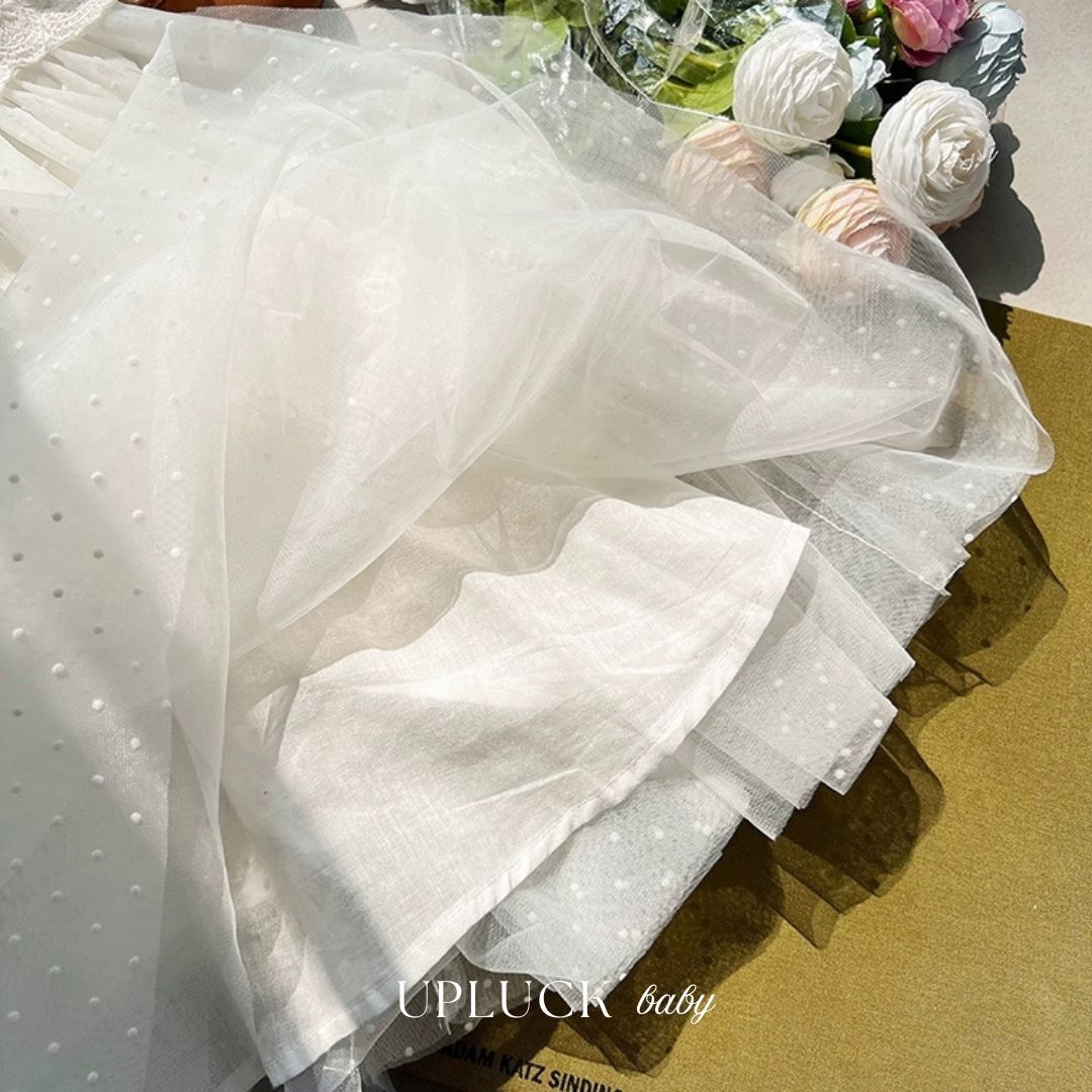 2_20251121_165342_0001