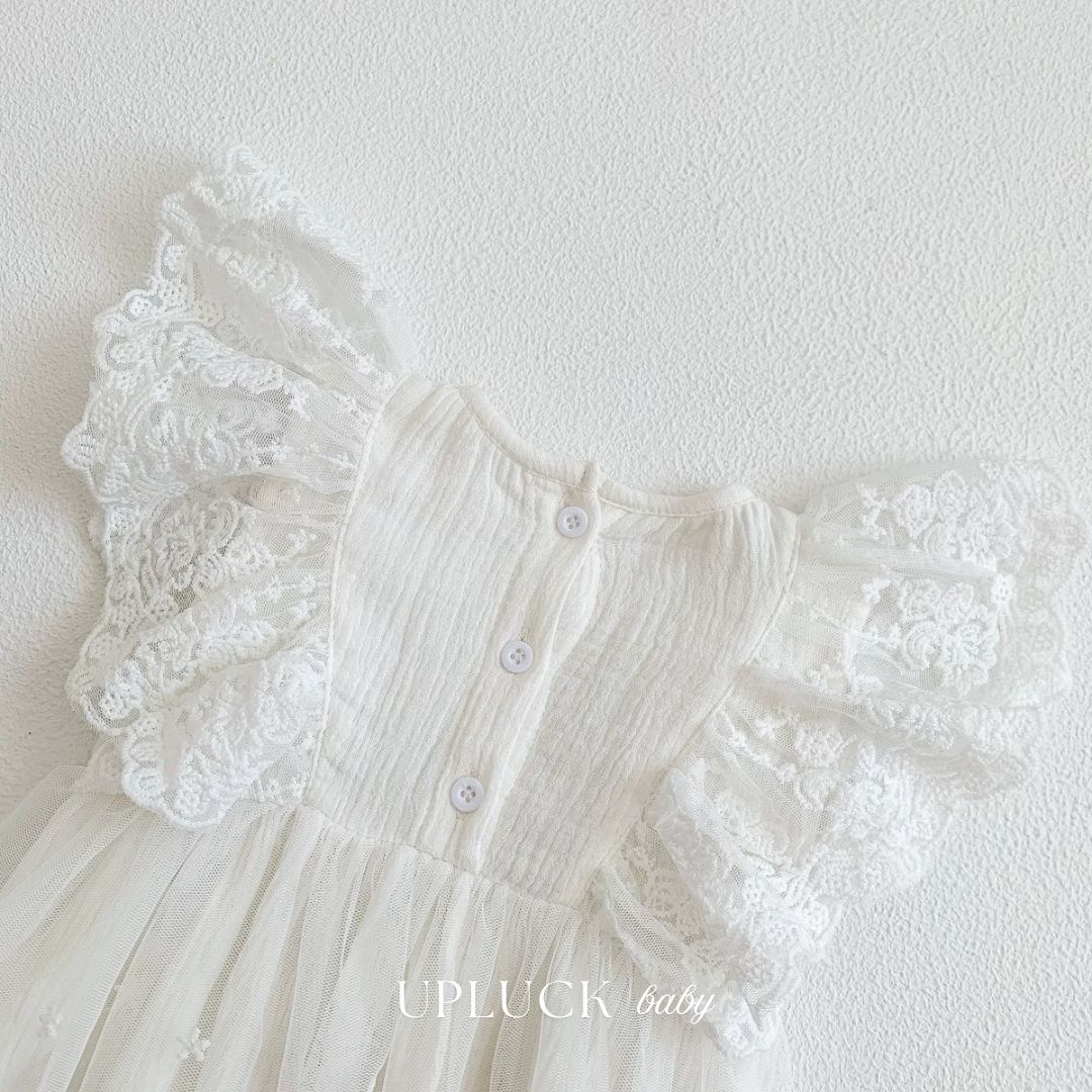 1_20251209_224312_0000