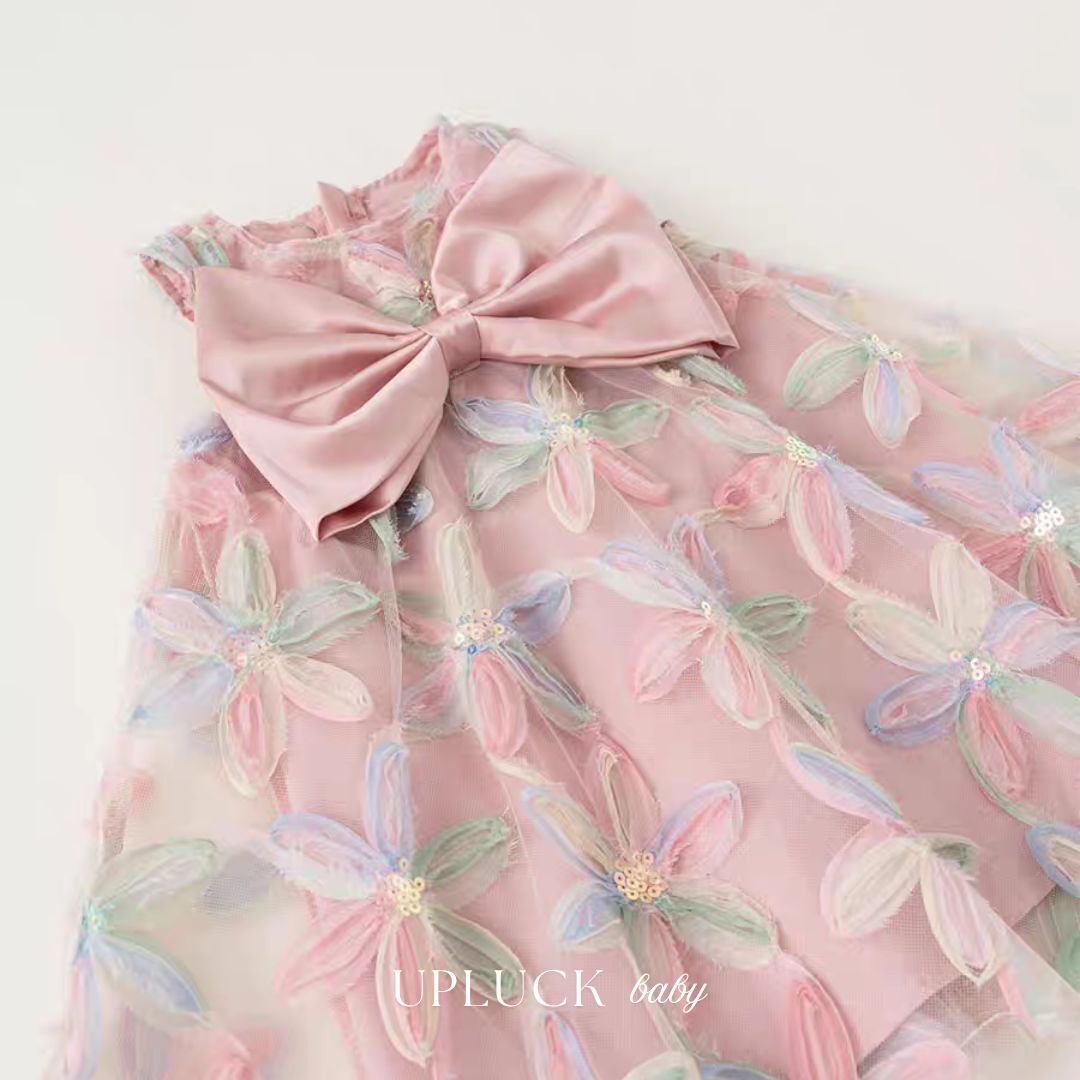 1_20251224_123305_0000