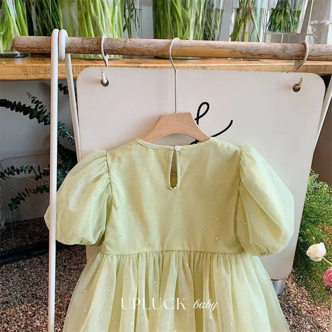 12_20251224_171153_0011