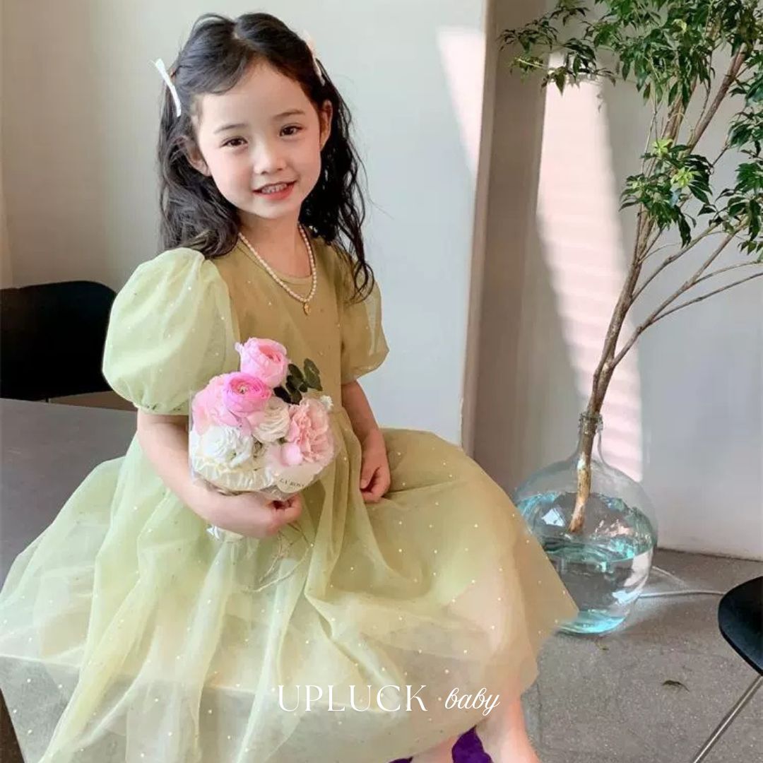 6_20251224_171153_0005