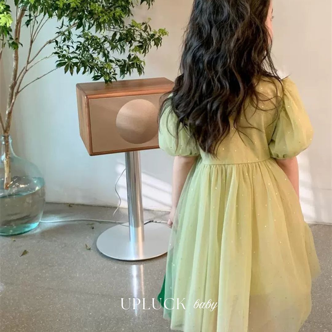 1_20251224_171153_0000