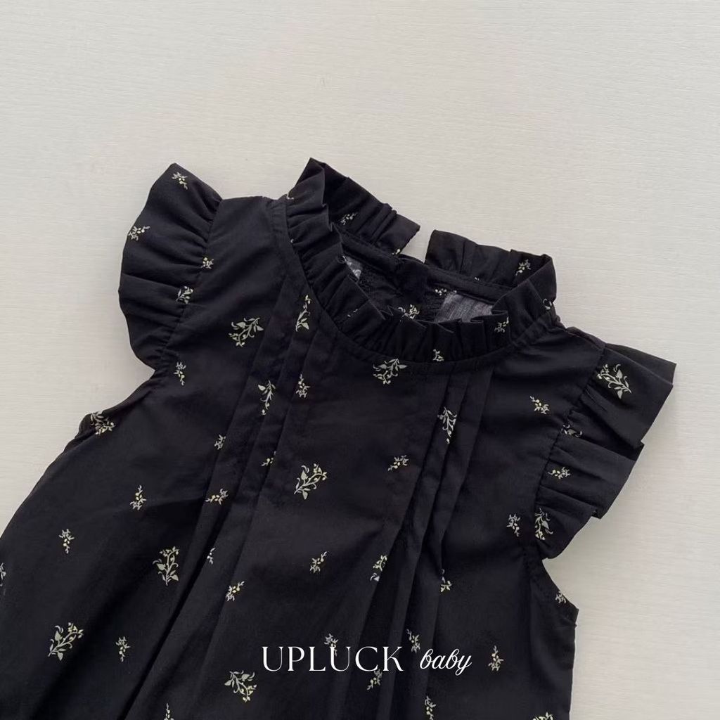 U P L U C K - 2