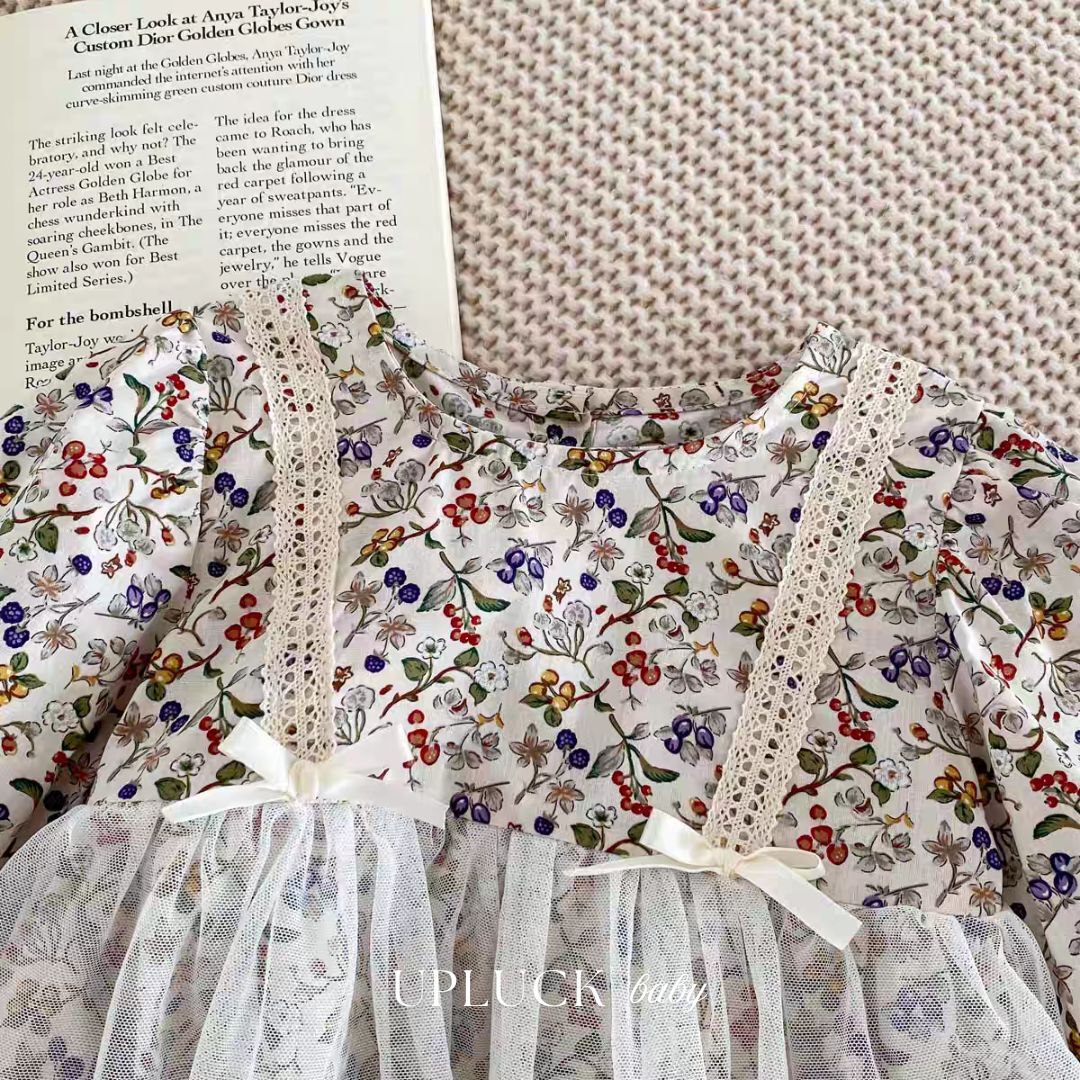 2_20260120_113503_0001