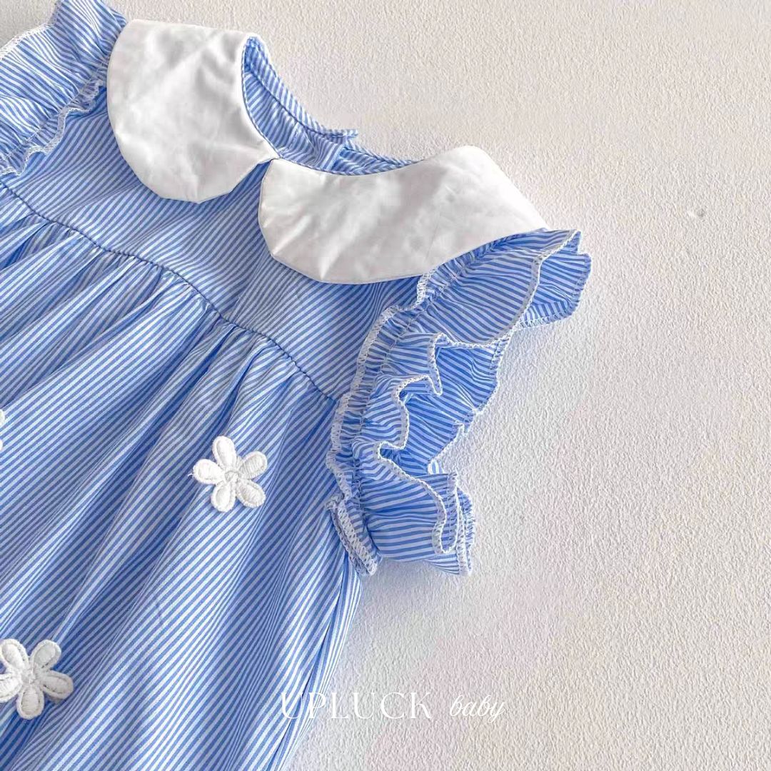 6_20260122_080352_0005