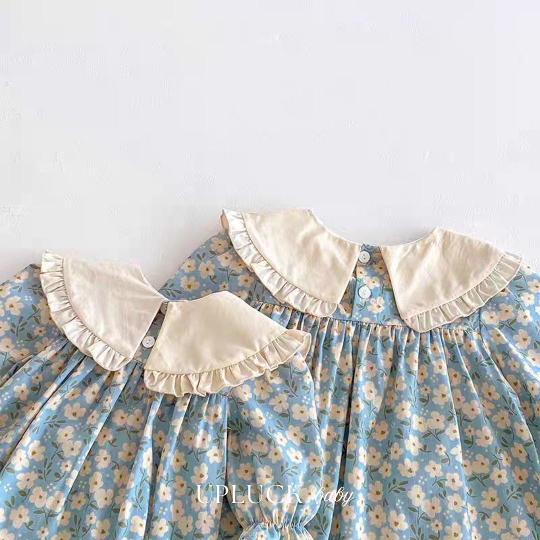 9_20260129_175453_0008