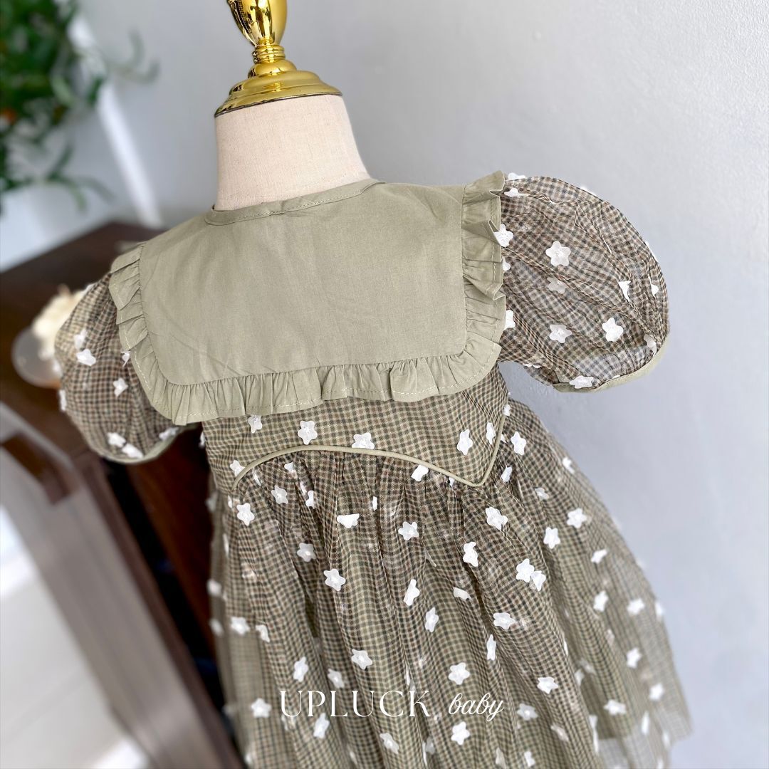 2_20260208_183404_0001