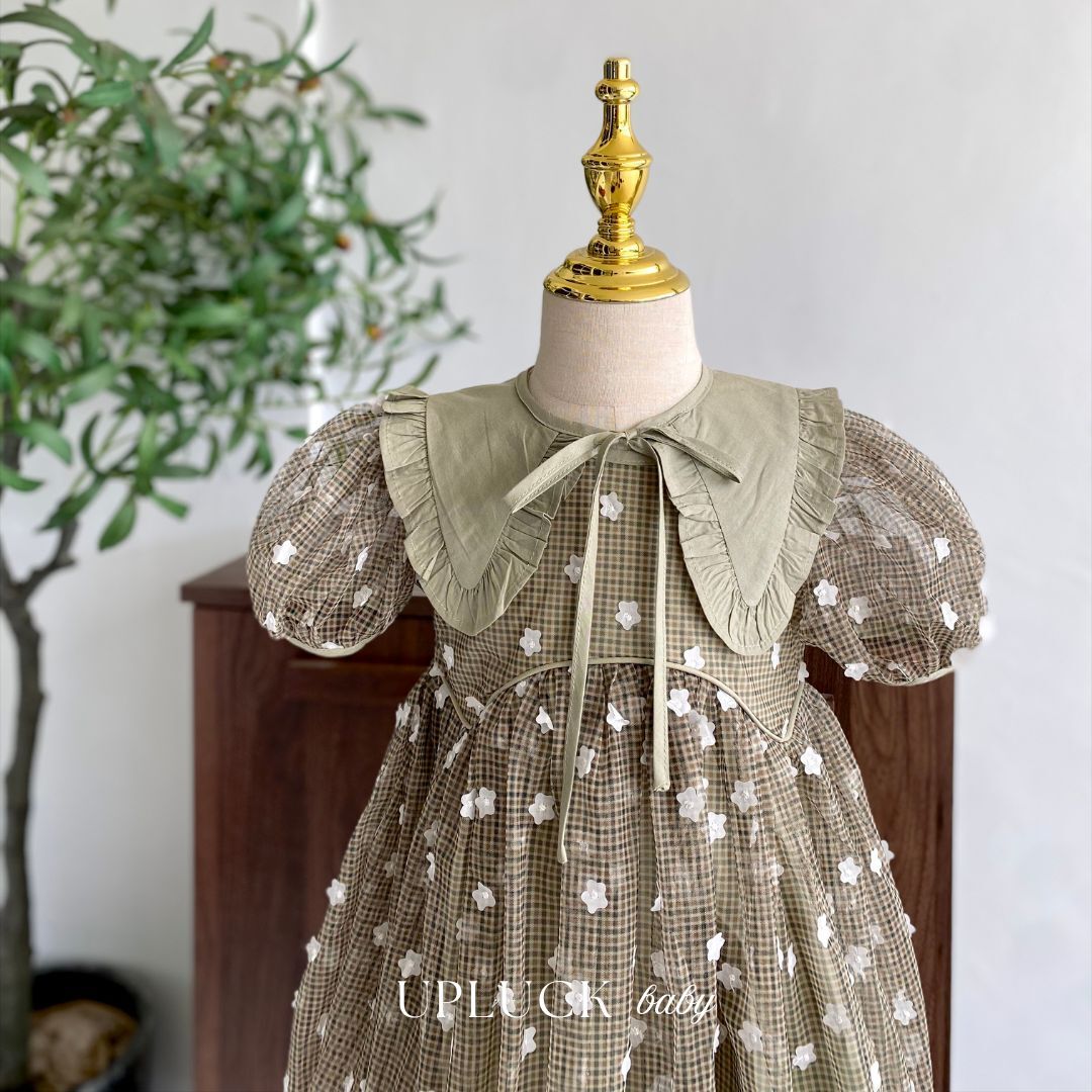 7_20260208_183404_0006