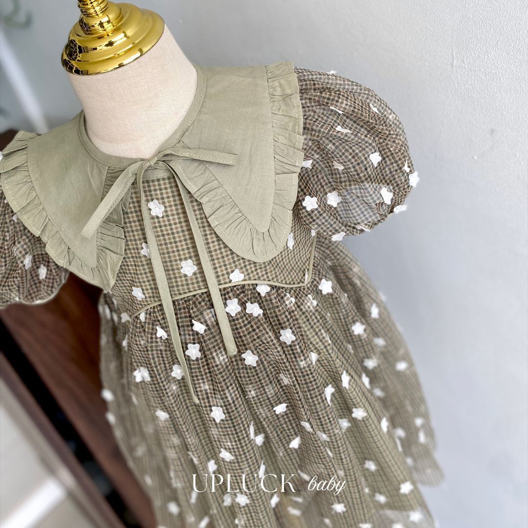 5_20260208_183404_0004