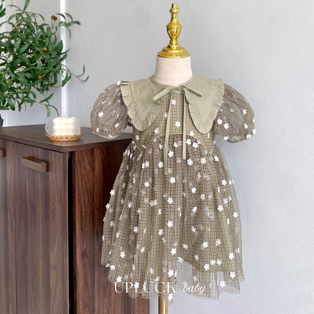 1_20260208_183404_0000