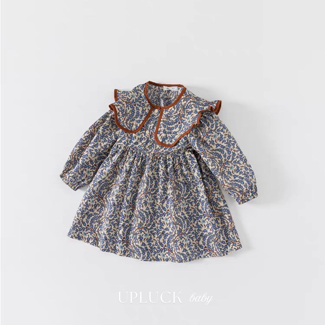 8_20260209_141146_0007