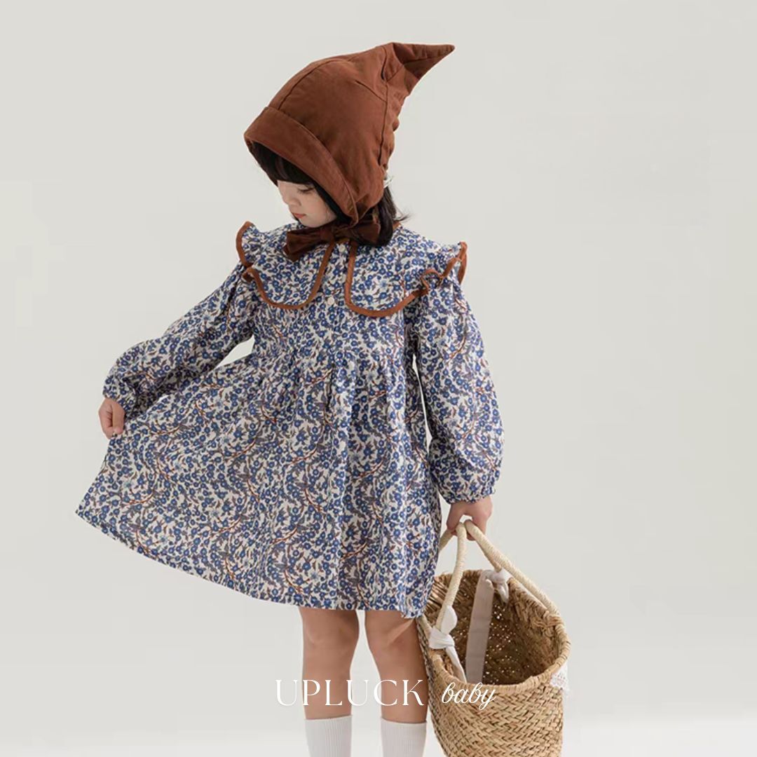 1_20260209_141146_0000