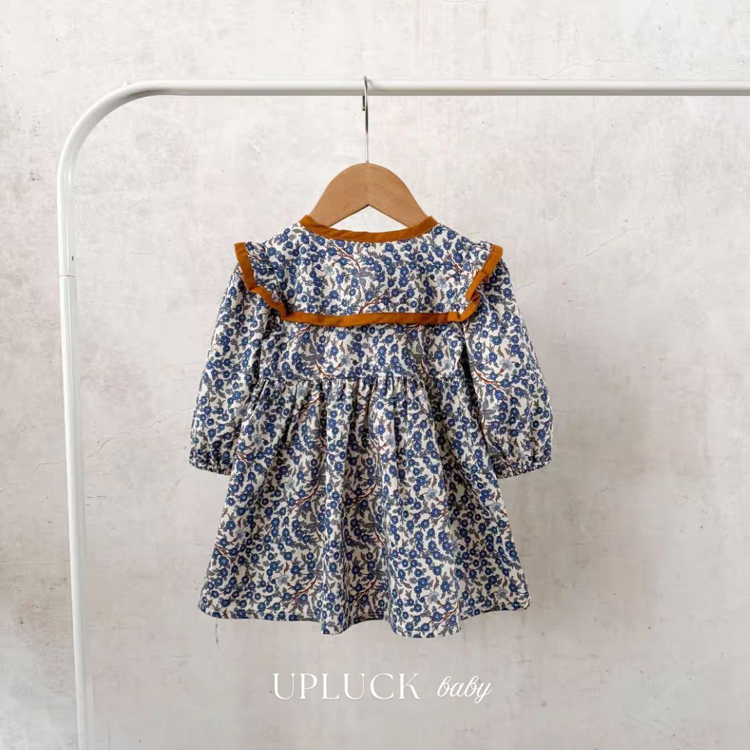 2_20260209_141146_0001