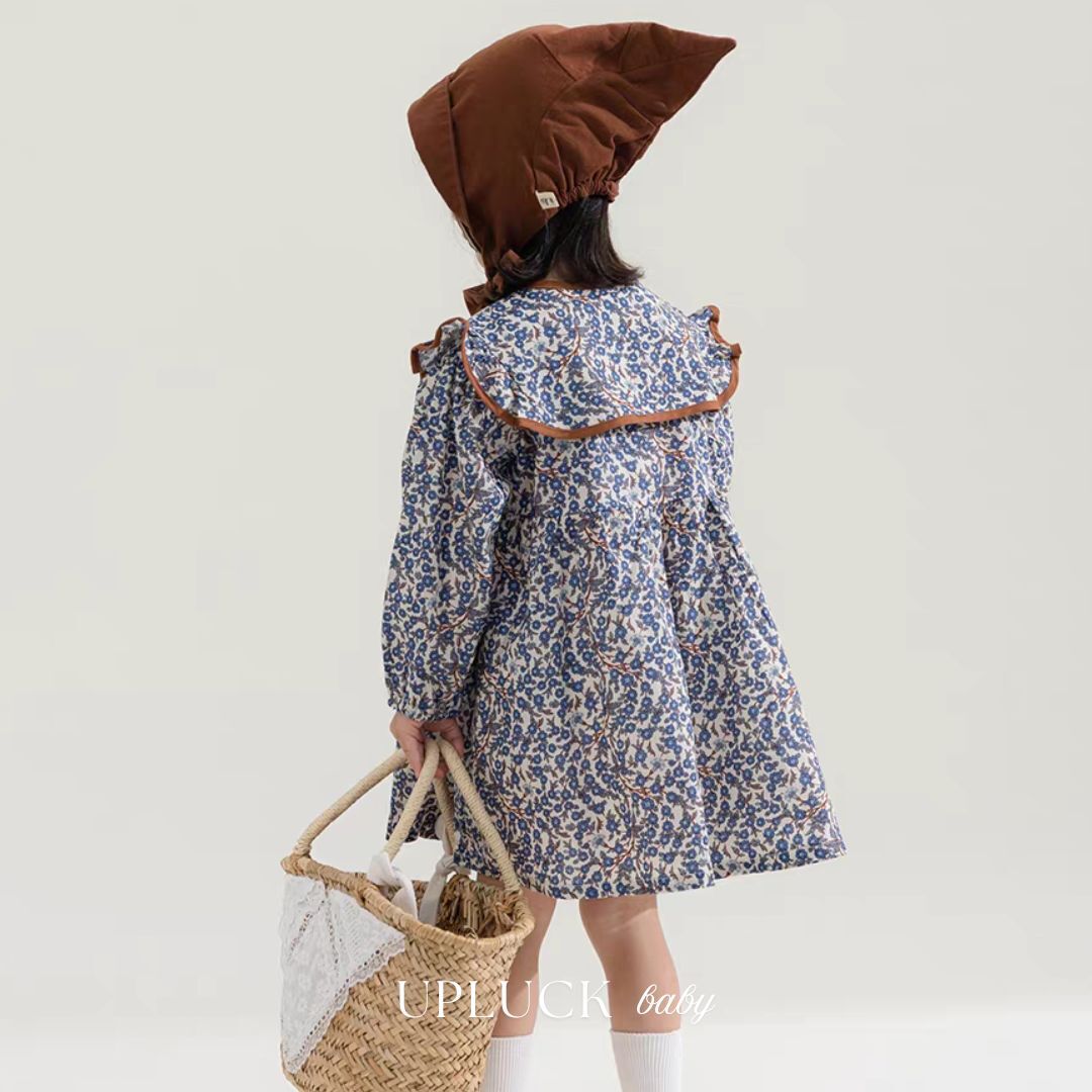 6_20260209_141146_0005