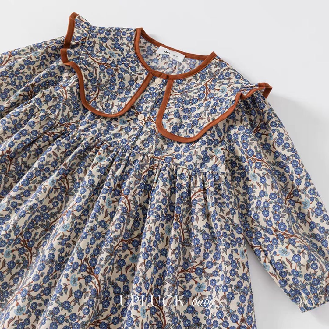 5_20260209_141146_0004