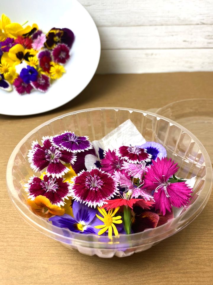 食用花-04.jpg