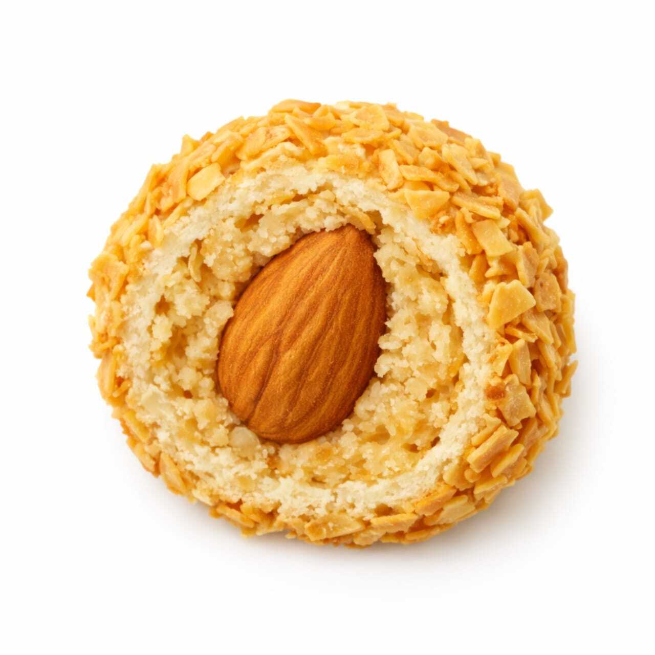 WhatsApp Image 2026-01-05 at 6.36.08 PM