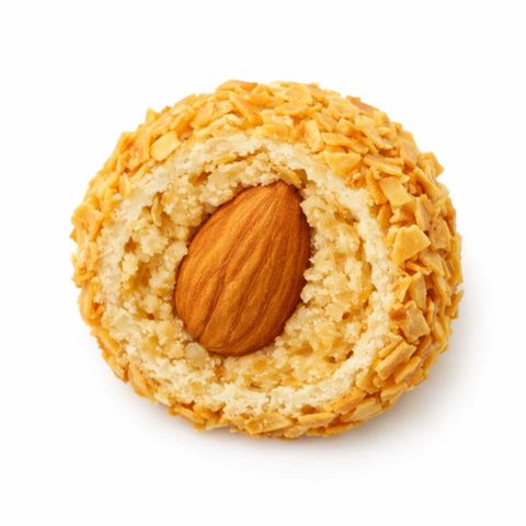 WhatsApp Image 2026-01-05 at 6.36.08 PM