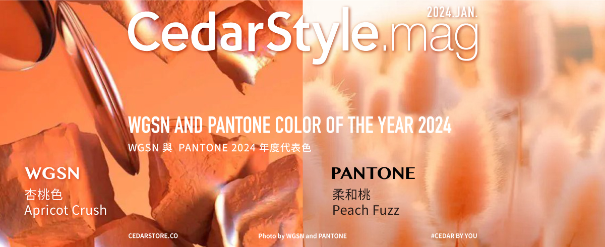 WGSN「杏桃色」PANTONE「柔和蜜桃」2024年度代表色