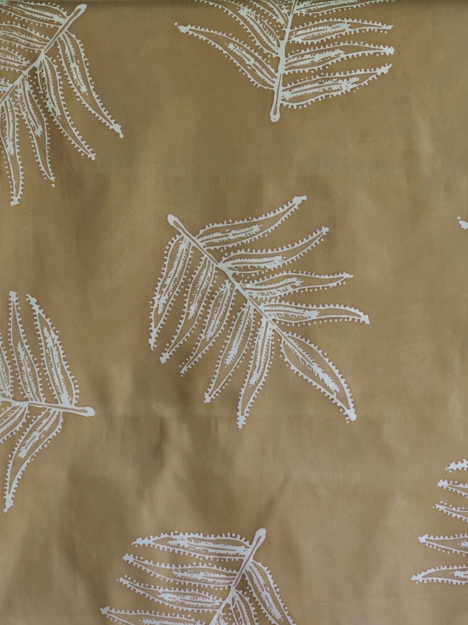 20260207_113805(1)(1)(1)