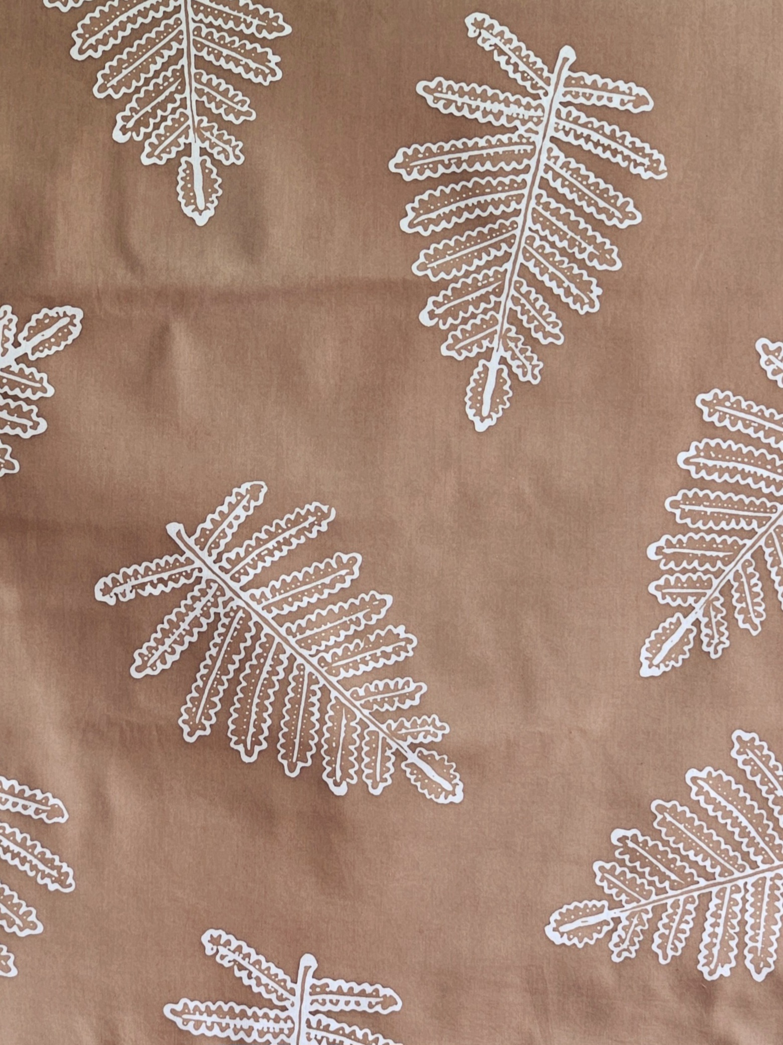 20260120_120909(1)(2)