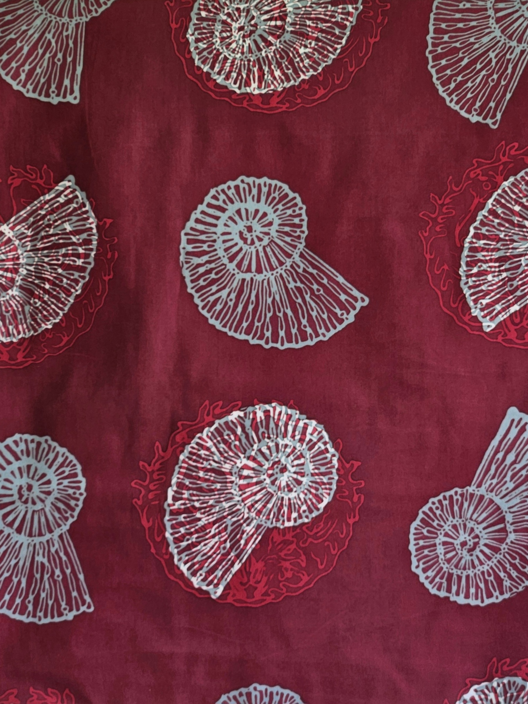 20260207_122515(1)(1)