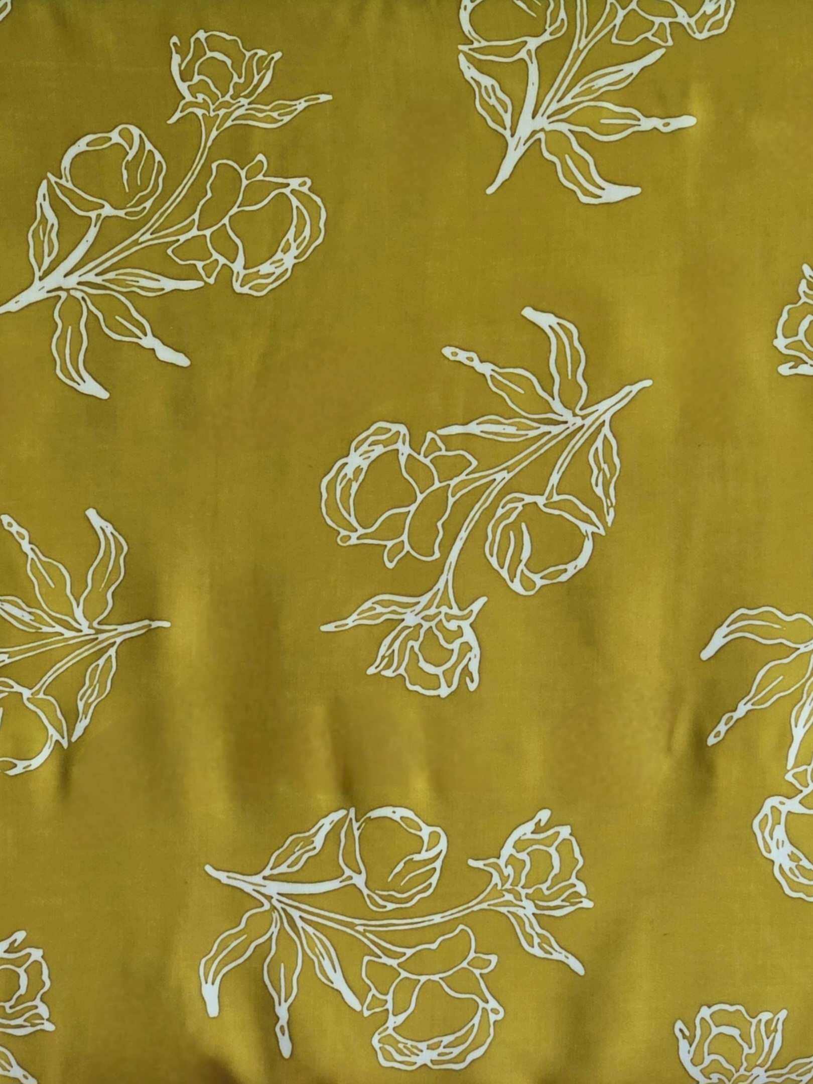 20260207_122414(1)(1)